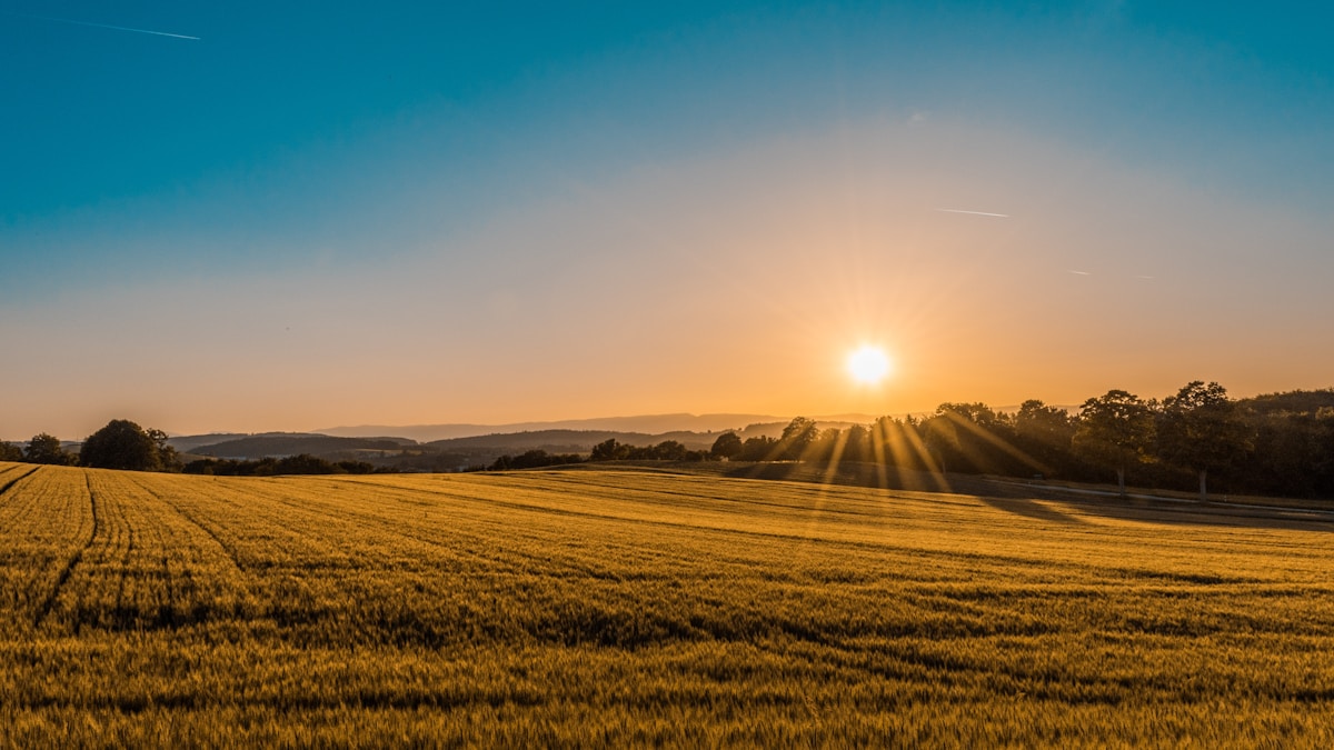 Canadian Real Assets & Farmland REITs in Holding Corporations (2026): Navigating Section 125 Passive Income Limits, Capital Cost Allowance (CCA) & Inflation Hedging
