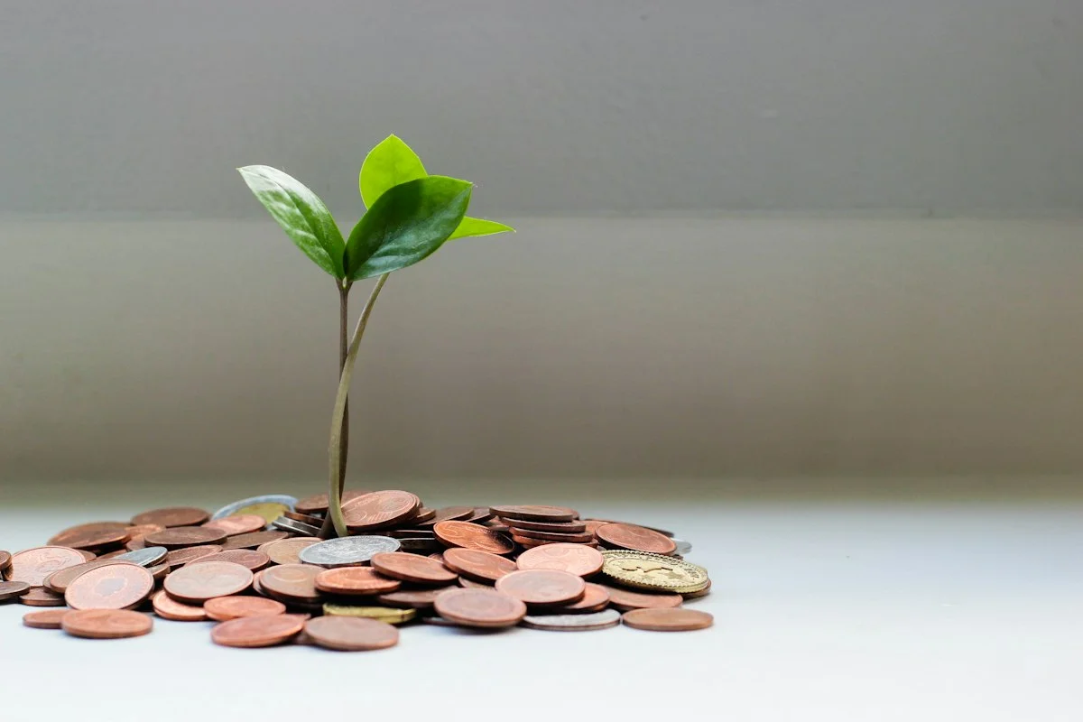 Investment finance growth plant growing from jar of coins representing tax sheltered capital